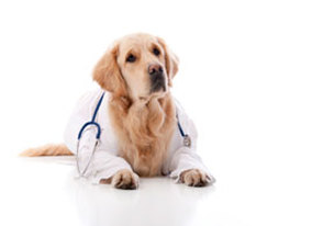 Cancer diagnostics